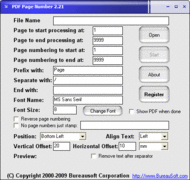 PDF Page Number screenshot